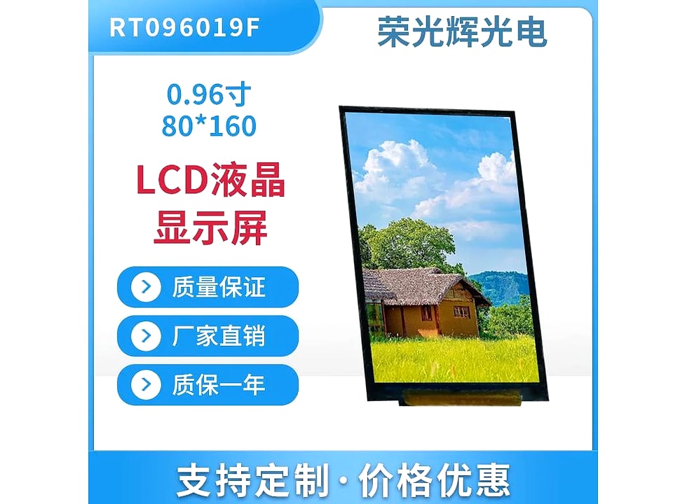 RT096019F display module