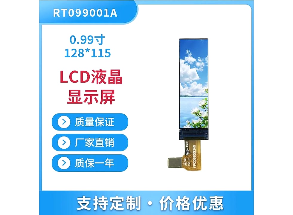 RT099001A display module