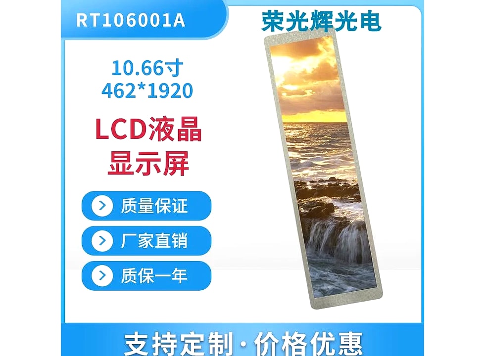 RT106001A display module