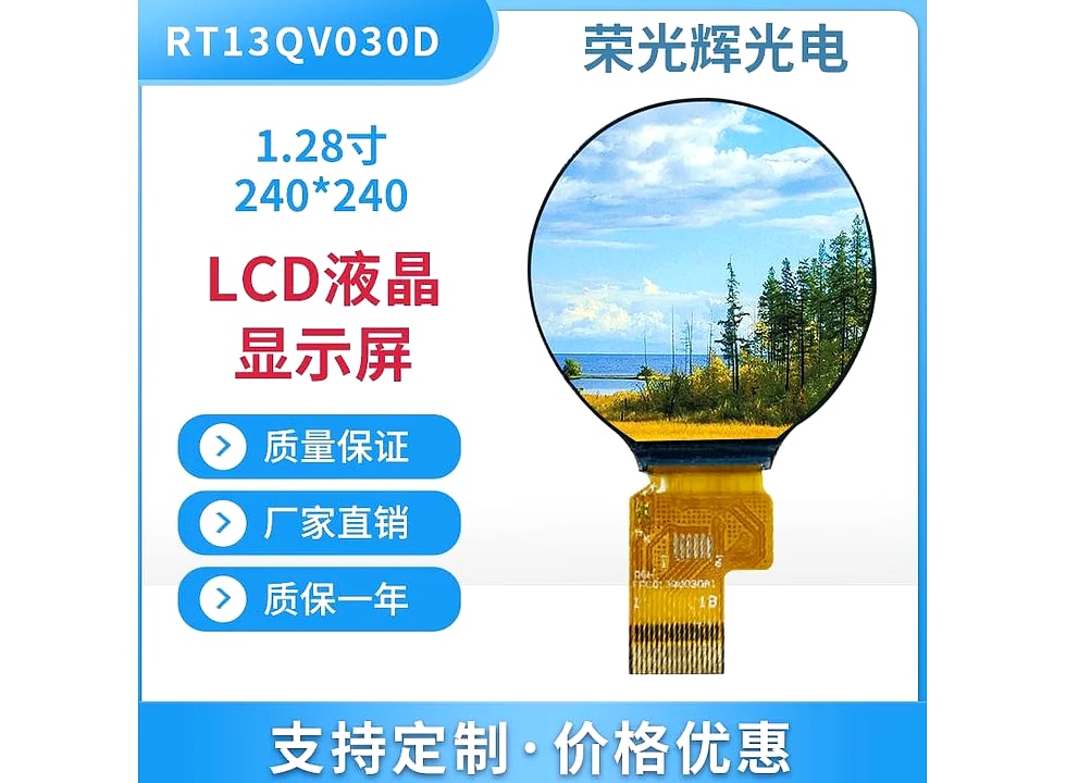 RT13QV030D display module