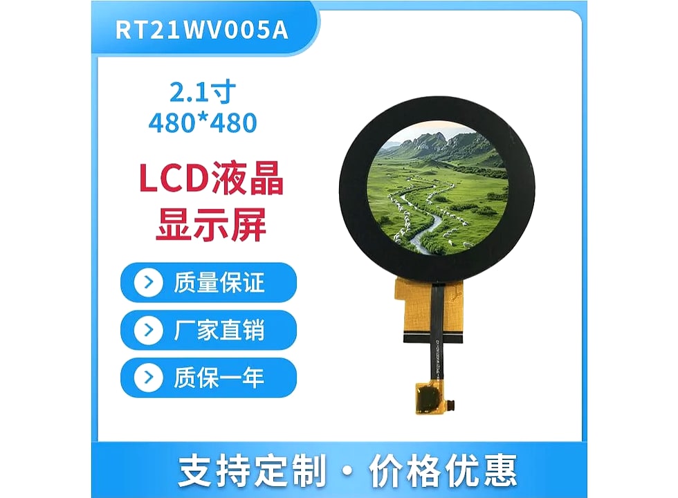 RT21WV005A display module