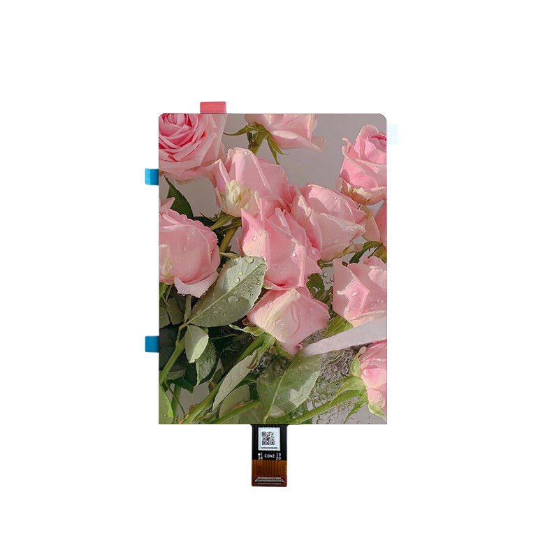 RTO392001A display module