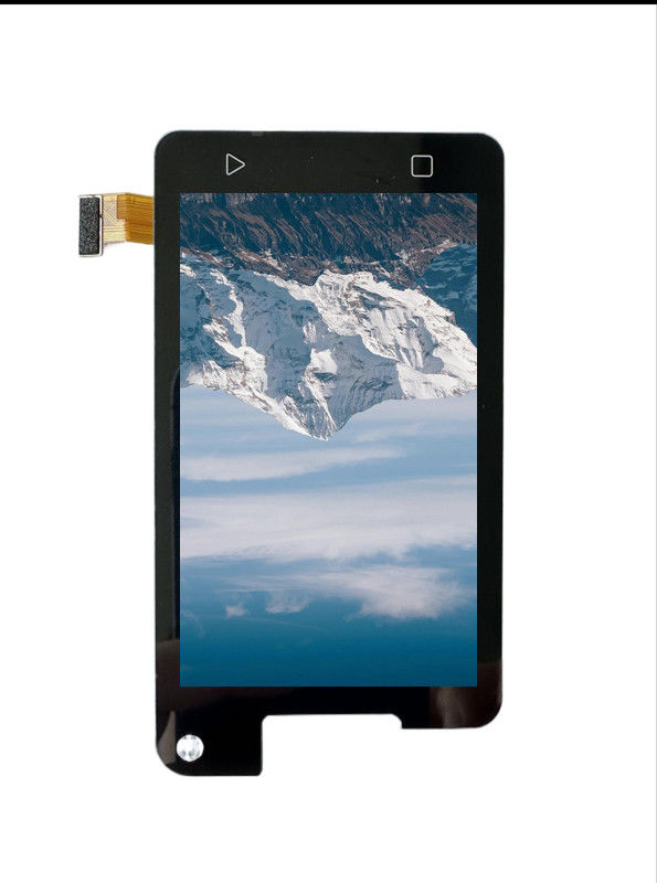 RTP31WV012A display module