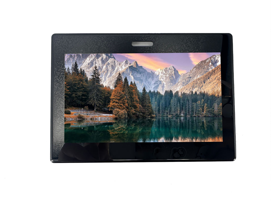 RTP43WV001A display module