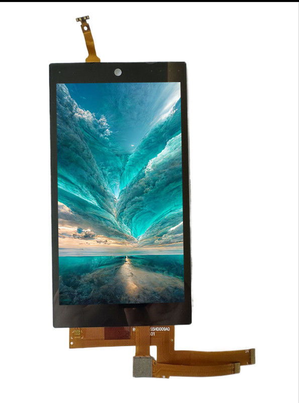 RTP55HD009A display module