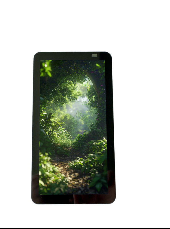 RTP55HD011A display module