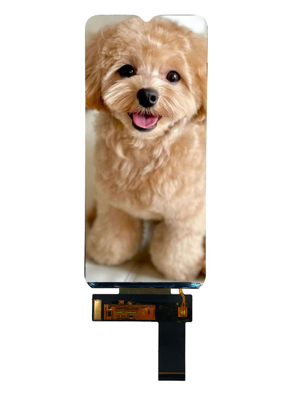 RTP65HD002A display module