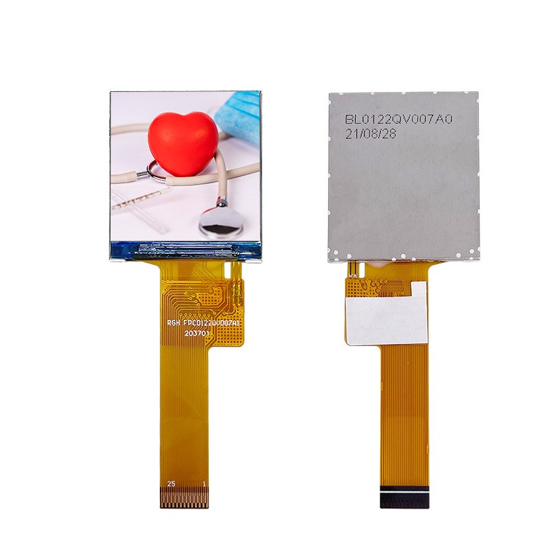 RT109007A display module