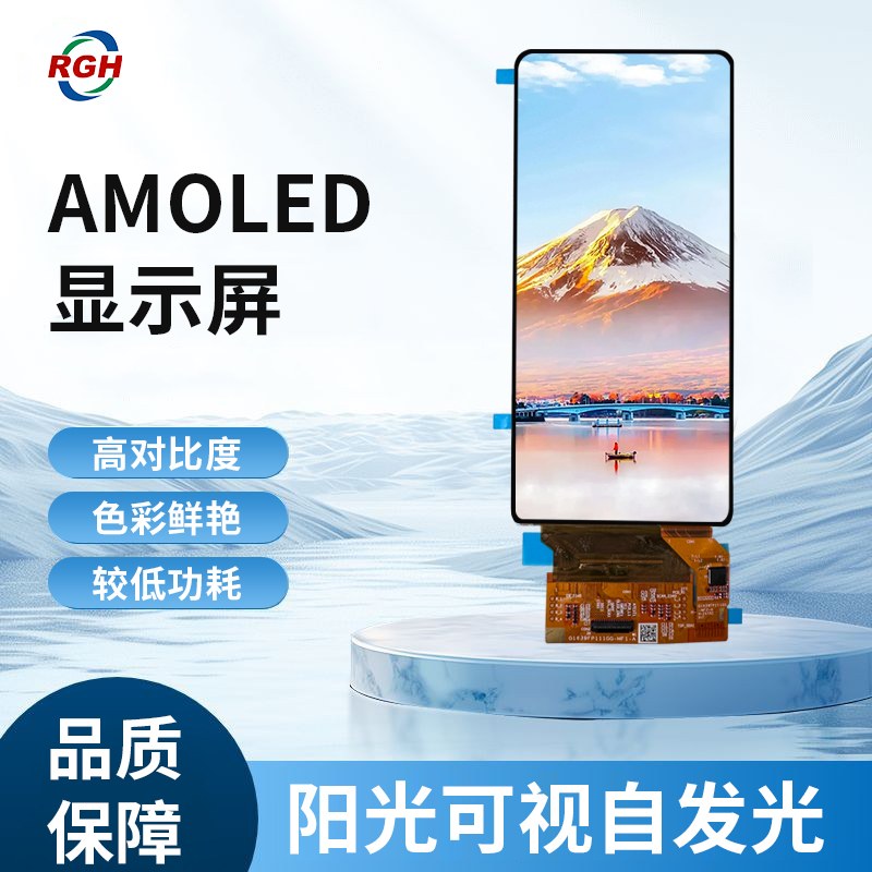RTO639001A display module