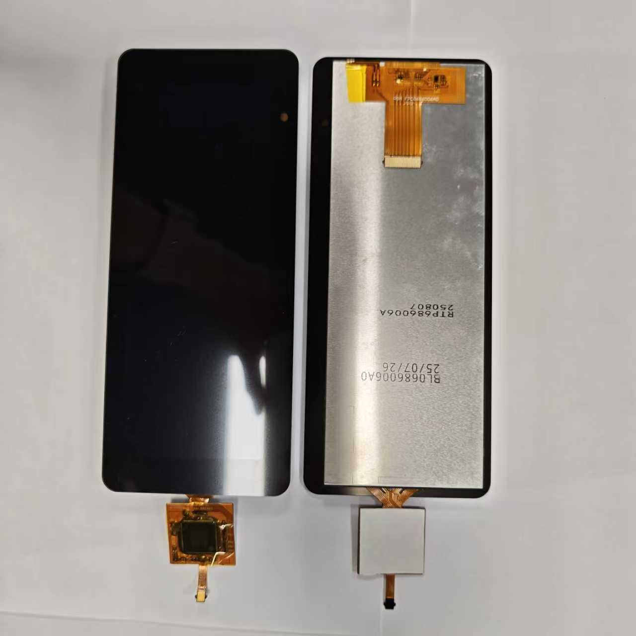 RTP686006A display module