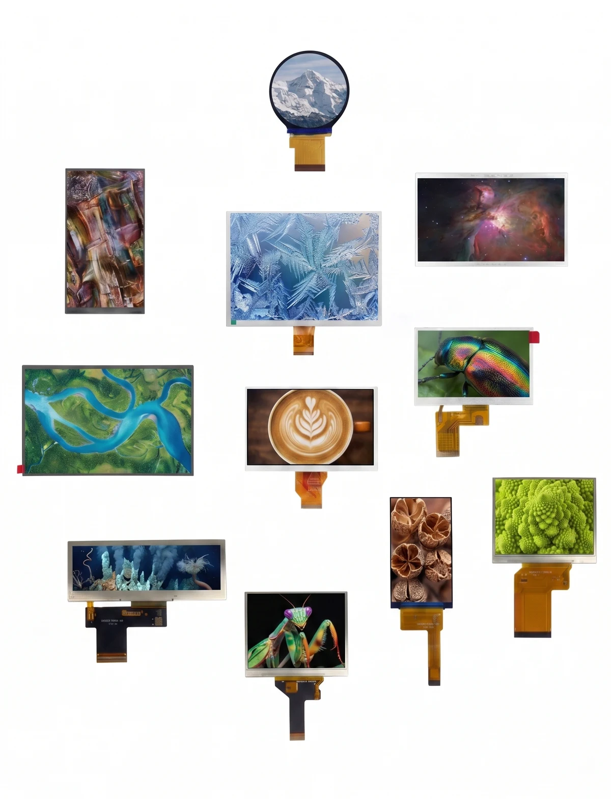 Display modules in different shapes and sizes